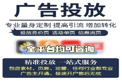 行业专家解析SEM代运营成功案例